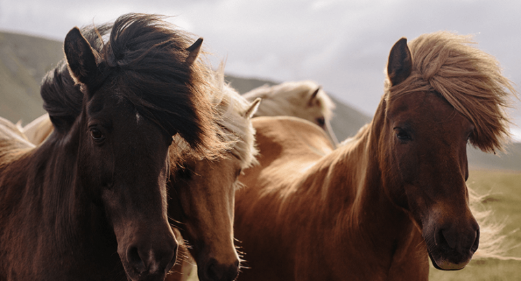 Xbox Controller in good condition Wireless