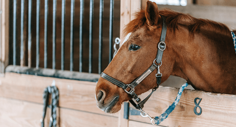 Xbox Controller in good condition Wireless