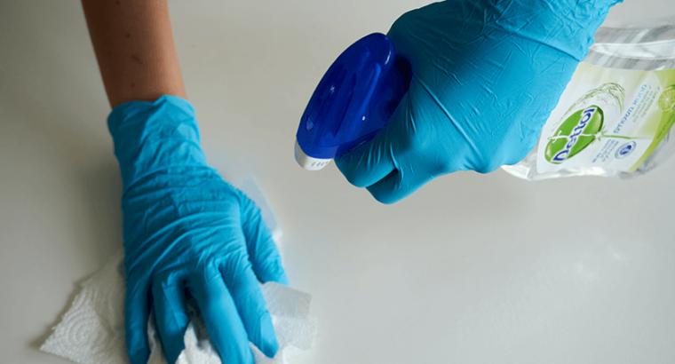 High Performance and Thrills Toyota GR Yaris for