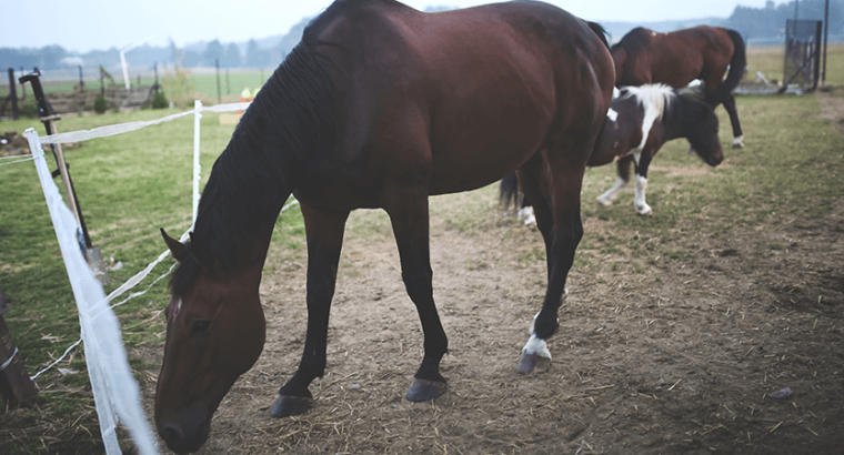 Audi A6  A Perfect Blend of Luxury, Technology, a